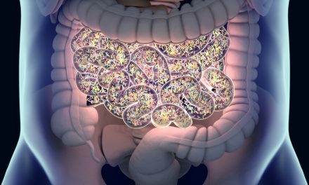 What’s your gut microbiome enterotype?
