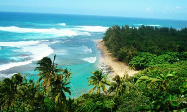 Hawaii becomes first state in the U.S. to ban the toxic pesticide chlorpyrifos