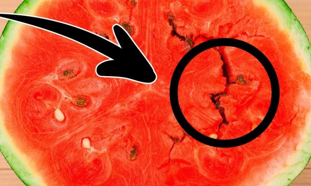 If you open a watermelon and see this, throw it away