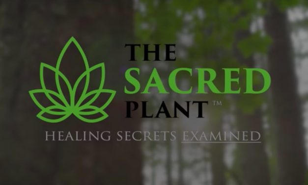 FREE 7-part Series: The Sacred Plant: Healing Secrets Examined