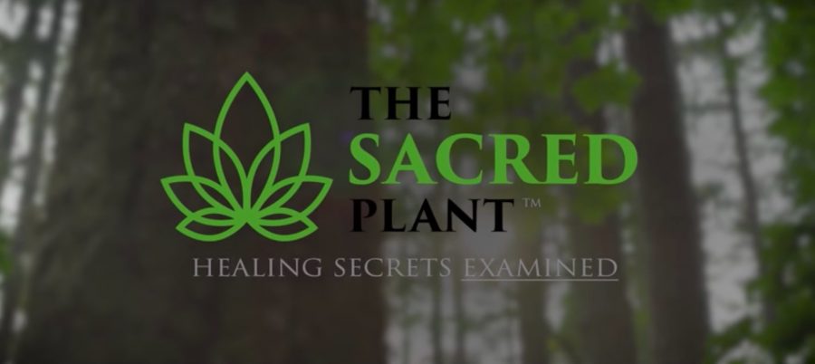 FREE 7-part Series: The Sacred Plant: Healing Secrets Examined