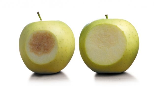 GM apples being sold on Amazon without label