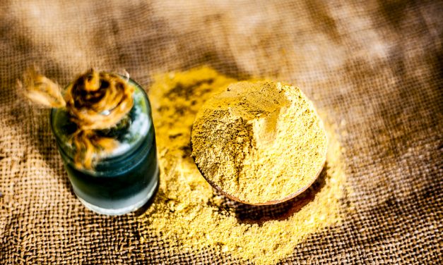 Could taking a probiotic alongside an Indian herbal remedy help you live to 100? Scientists claim the combination could boost the lifespan of humans
