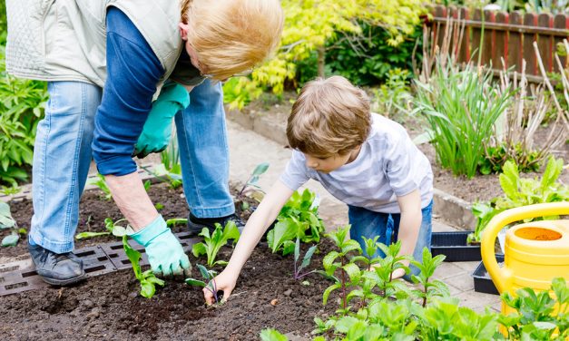 Study shows school gardens help to prevent nutritional deficiencies in children