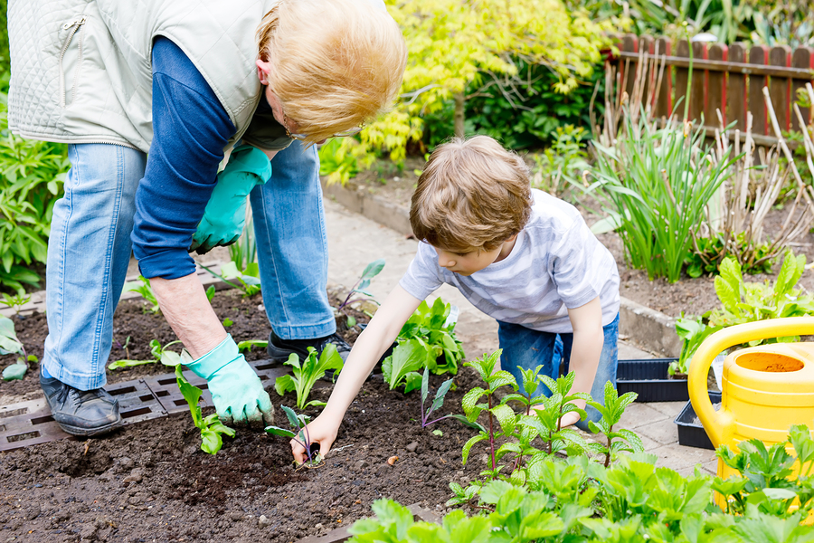Study shows school gardens help to prevent nutritional deficiencies in children