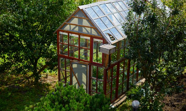 Using a greenhouse for food self-sufficiency