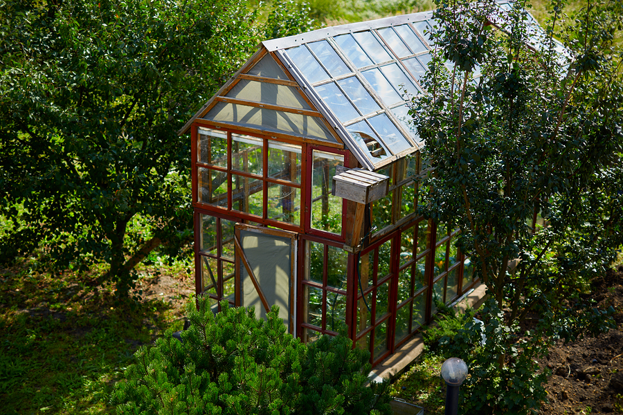 Using a greenhouse for food self-sufficiency