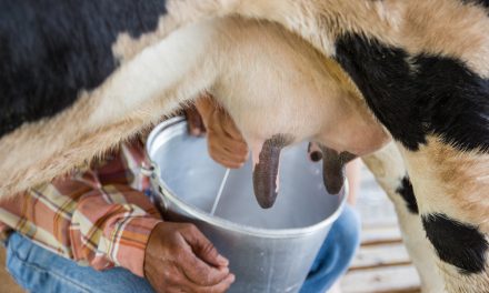 Lawmakers introduce Farm Bill Amendment to prohibit federal government interference in raw milk sales