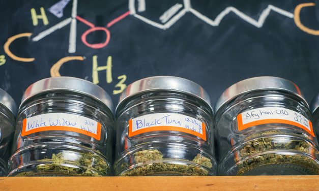 Labs warn of dangerous, contaminated pot at dispensaries