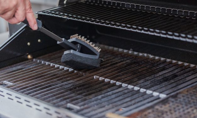 Mom cleans grill, cooks burgers, and son nearly dies