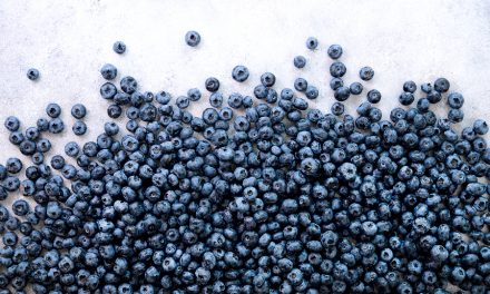 Benefits of blueberries for blood pressure may be blocked by yogurt