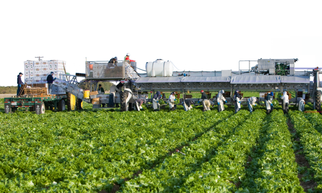Cancer-causing chemicals found in California farm water