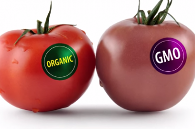 Proposed GMO disclosure rule leaves consumers in the dark