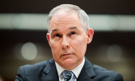 Scott Pruitt resigns after a raft of scandals and 15 investigations into misconduct claims