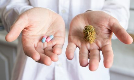 Marijuana legalization & the opioid epidemic