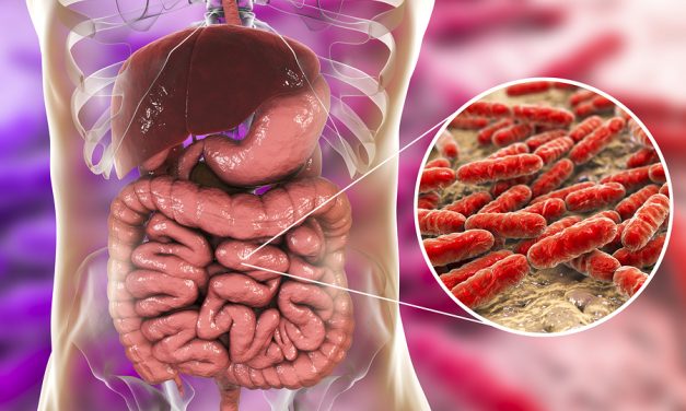 Women ingesting probiotics can decrease their bone loss by half