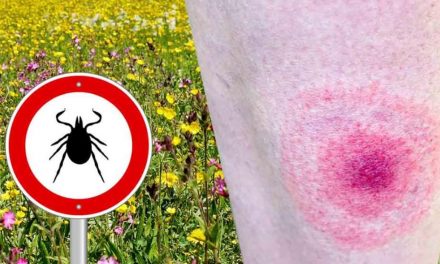 Fatal Forecast: Lyme Disease will plague America
