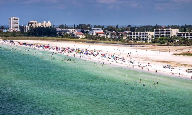 ABC: Dangerous bacteria: Vibro Vulnificus in Florida ocean hospitalizes 13, kills 3