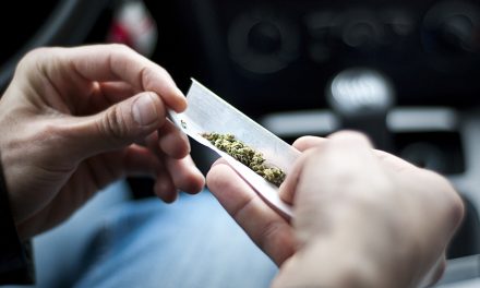 Report shows legal weed in Nevada made drivers SAFER as crashes dropped significantly