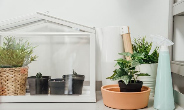 Women who surround themselves with plants live longer