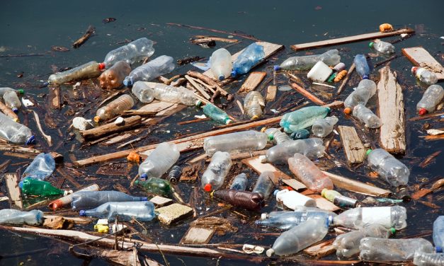 Four ways the private sector can help take on water pollution