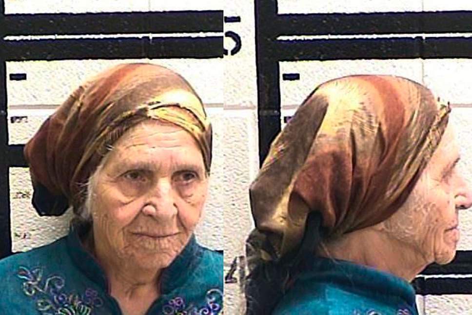 Georgia police use taser on 87-year-old grandmother cutting dandelions for a salad