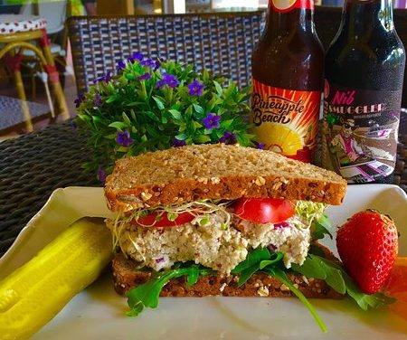 Organic vegan café needs help to stay afloat in midst of SW Florida eco disaster