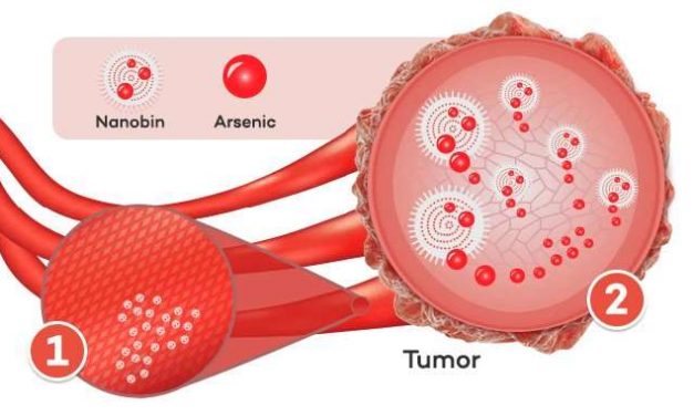 Fighting cancer with a famous poison
