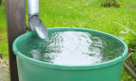Is it illegal to collect rainwater in your state?