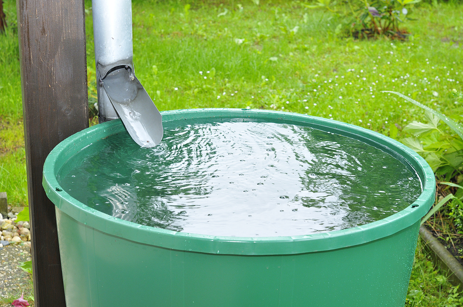 Is it illegal to collect rainwater in your state?