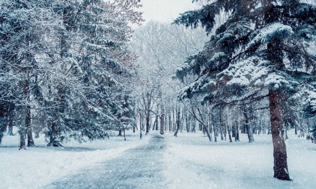 Farmer’s Almanac predicts a “teeth-chattering”, cold, snowy winter