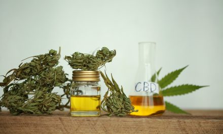 Does CBD Oil work? One woman shares her experience