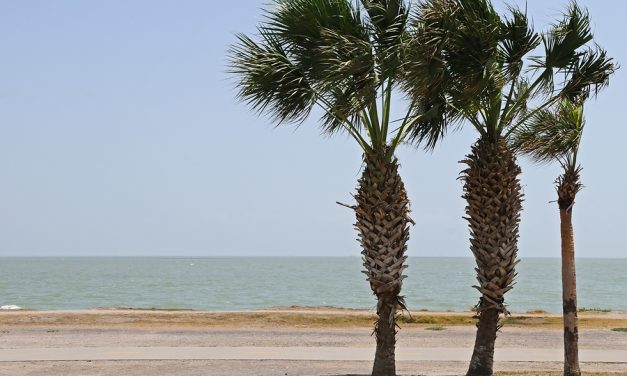 Newsweek: A study found unsafe levels of fecal matter at 75 of 120 Texas beaches