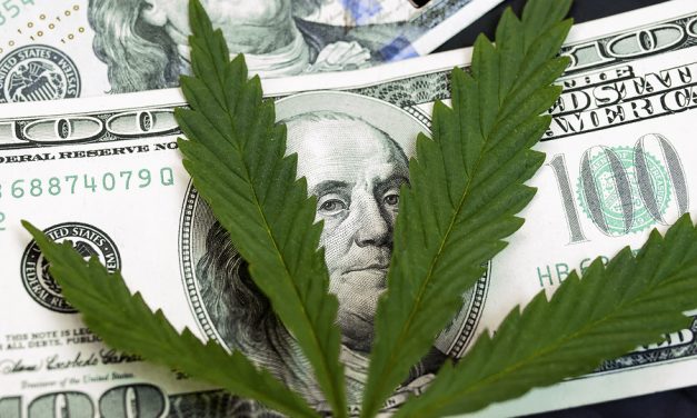 Weed stocks are going nuts after one of the largest marijuana companies strikes a deal for lab-made THC