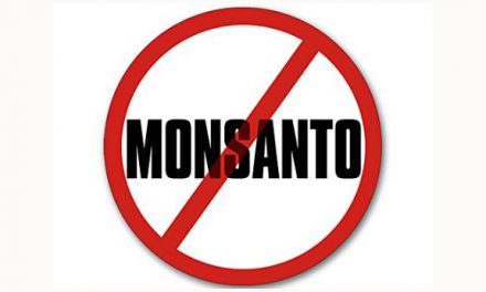 Monsanto can’t ‘Round Up’ chemical docs from advocacy org