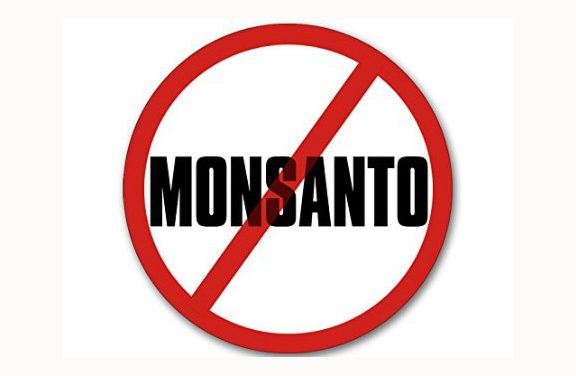 Monsanto can’t ‘Round Up’ chemical docs from advocacy org