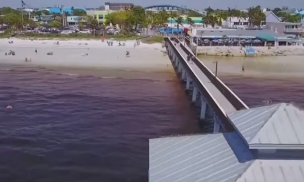 SW Florida kid makes science fair project about Lake Okeechobee releases