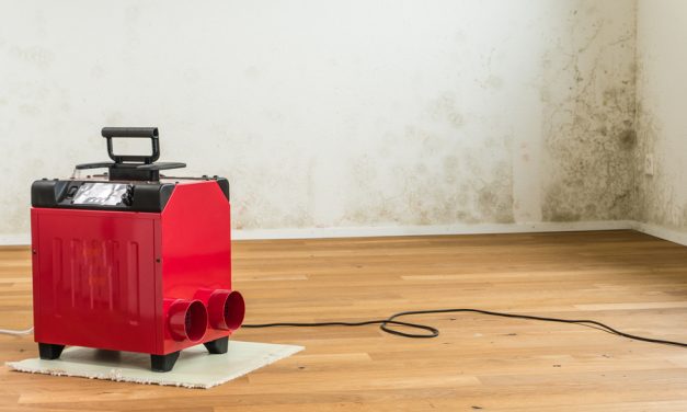 5 warning signs of a mold illness