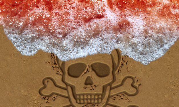 Florida man does stunning rap about red tide and big sugar. Must watch.