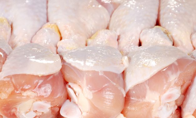 CDC reports outbreak of drug-resistant Salmonella in 29 states