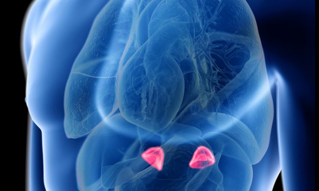 14 warning signs your adrenals are burnt out and what you need to fix them