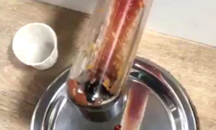 Daily Mail UK: Live maggots discovered in McDonald’s ketchup dispenser