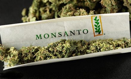 Monsanto and Bayer are moving to create a monopoly on marijuana