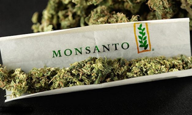 Monsanto and Bayer are moving to create a monopoly on marijuana