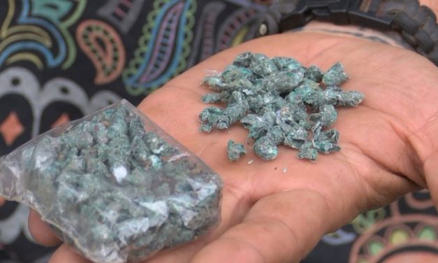 NBC: Helicopters rain down ‘pipeline pellets’, destroying organic family farm