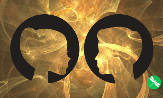 Humans draw energy from each other the same way plants do