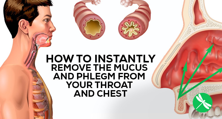 How to eliminate mucus and phlegm from your throat and chest immediately