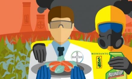 CNN: Bayer is cutting 12,000 jobs in the wake of its Monsanto deal