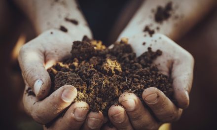 How dirt could save humanity from an infectious apocalypse