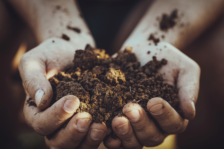 How dirt could save humanity from an infectious apocalypse